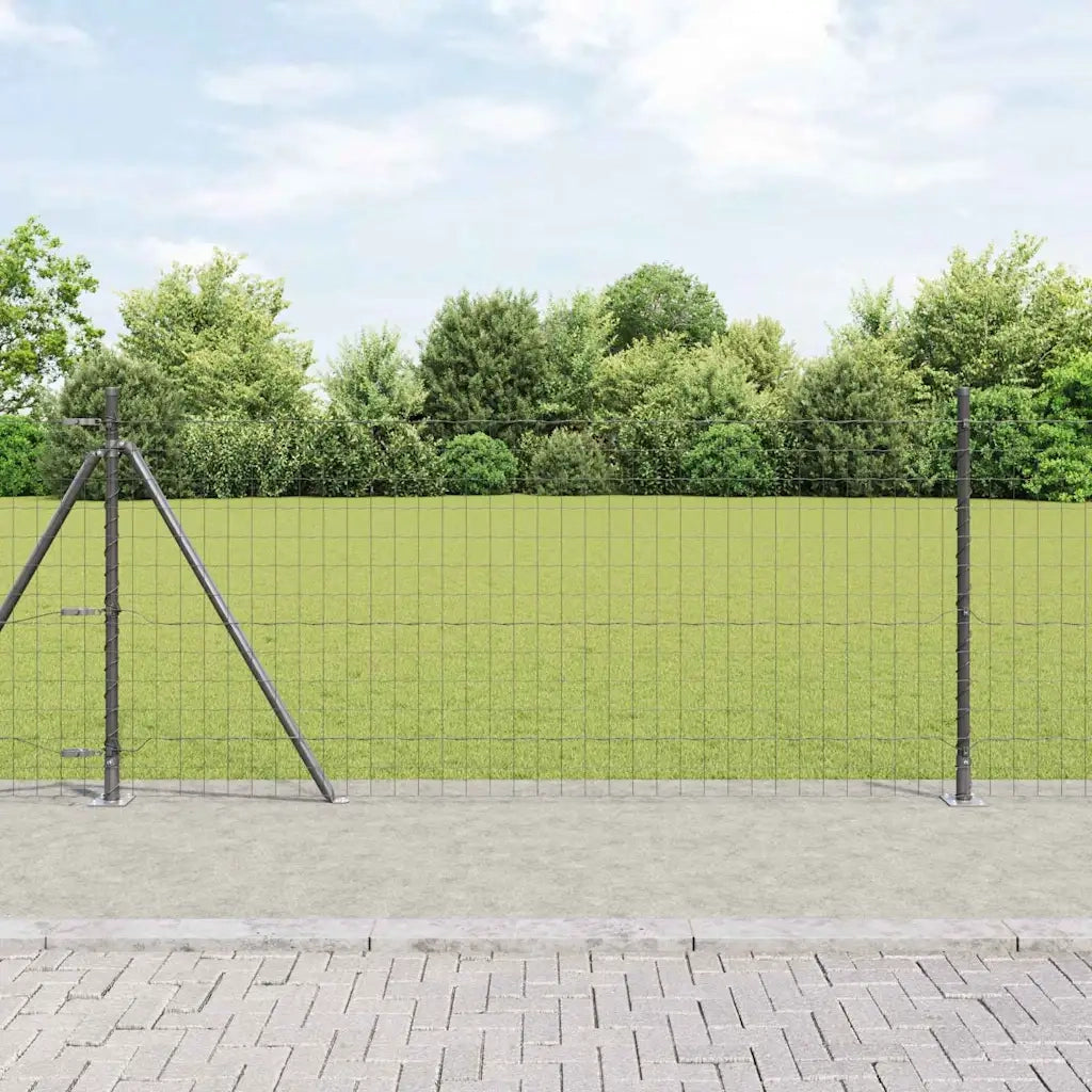 Recinzione da Giardino | Recinzione con Posto Grigio 0,8 x 10 m Acciaio