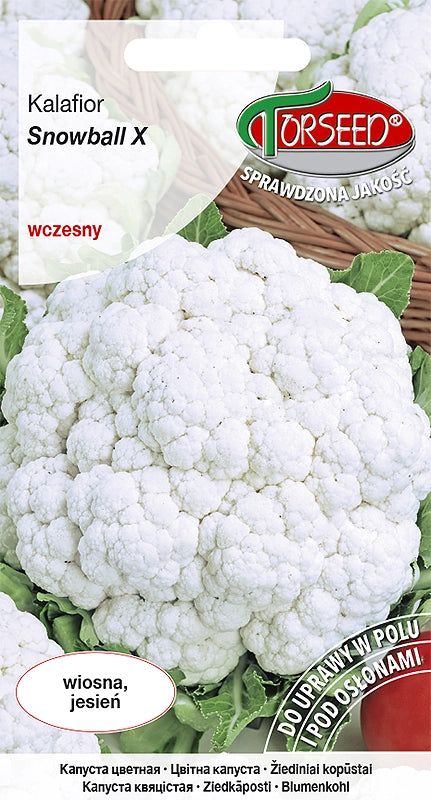 Palla Di Neve Di Cavolfiore X 1g