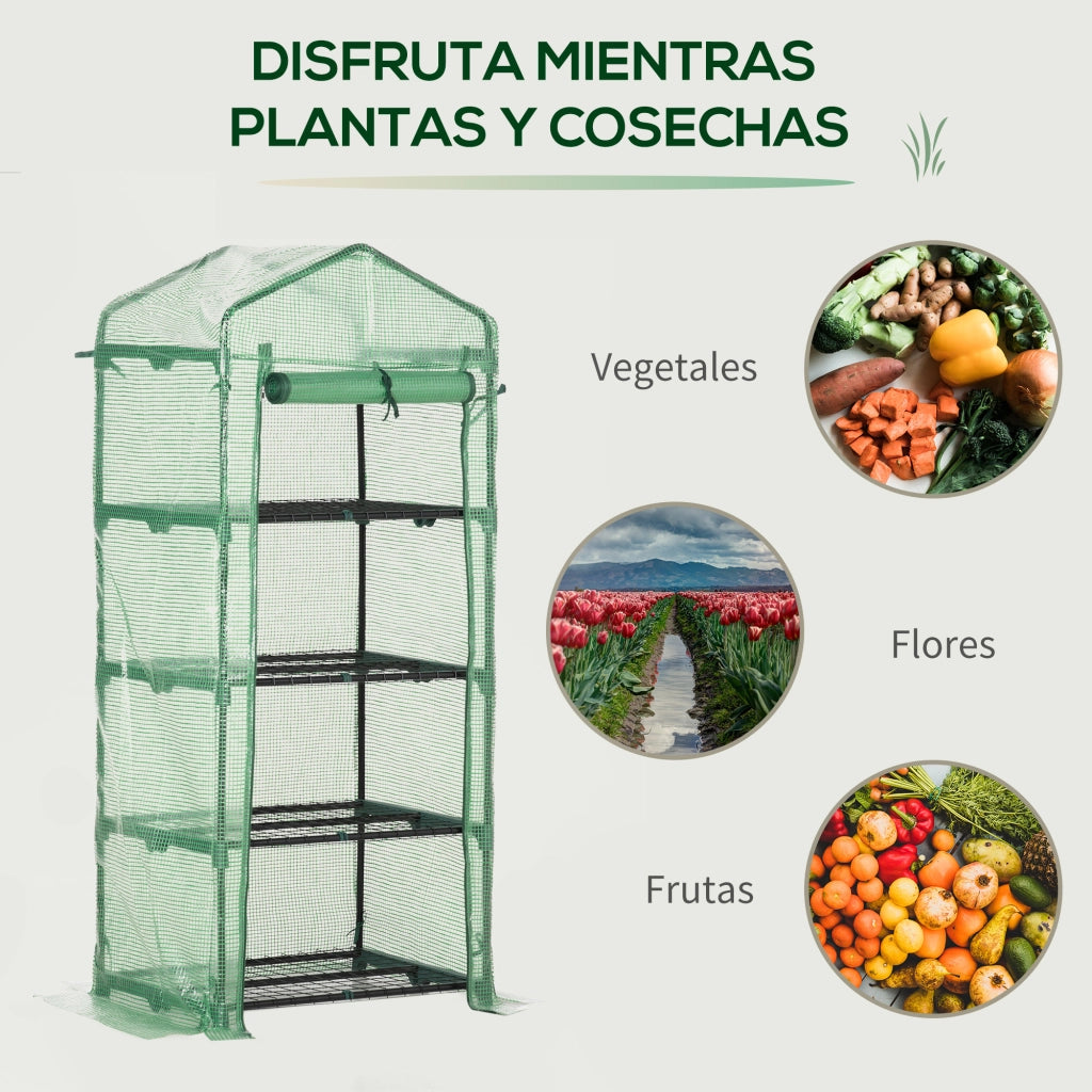 Serra da Giardino con 4 Ripiani ¨C Minimal ¨C Verde 70x50x160 cm