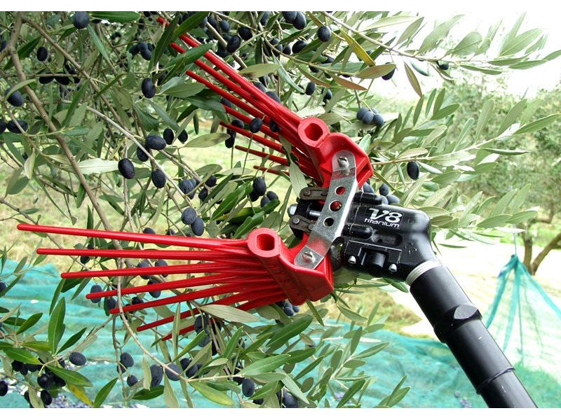 Abbacchiatore pneumatico Lisam V8 TITANIUM 2000 bpm per la raccolta delle olive
