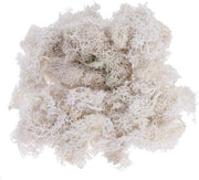 Schiuma decorativa naturale per arte e arredamento - 50 g