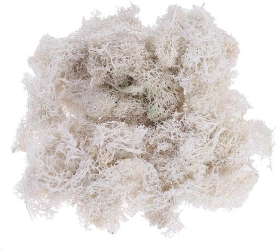 Schiuma decorativa naturale per arte e arredamento - 50 g