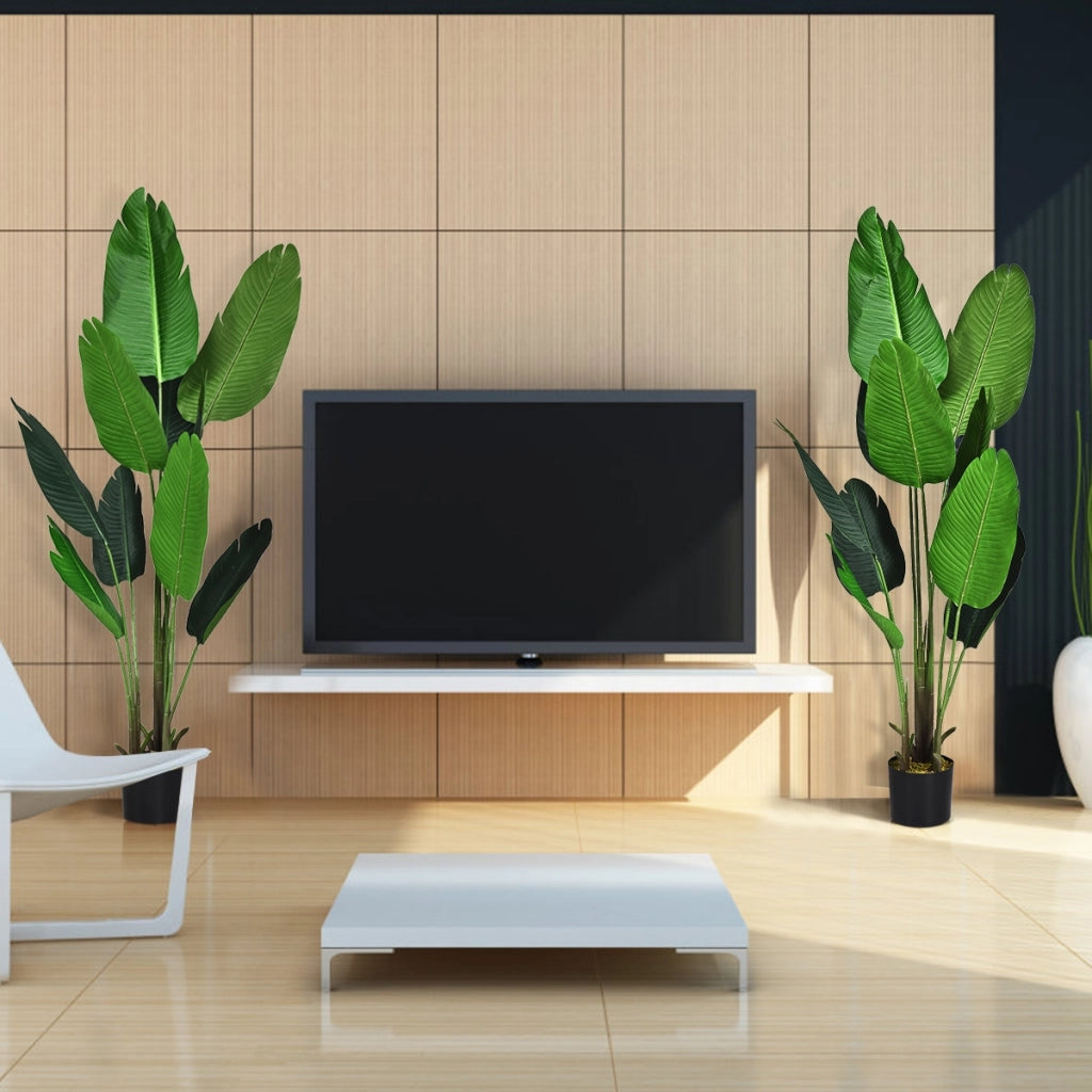 Palma tropicale artificiale con vaso nero, Finto bonsai da interno con 10 foglie realistiche, 160 cm