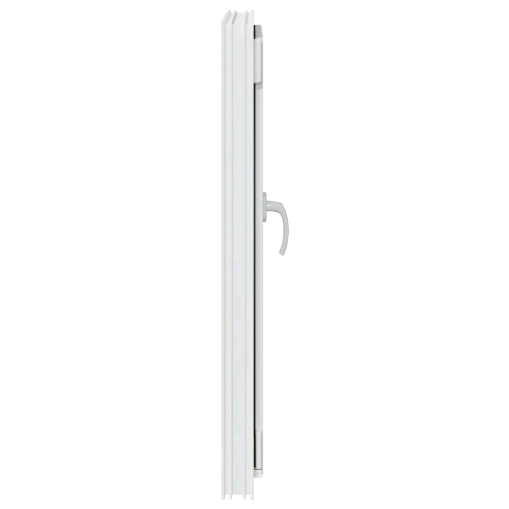 Finestra per Soffitta RISOR 50 x 100 cm PVC e Vetro 42047883