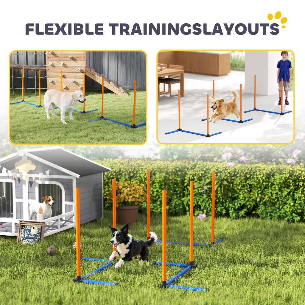 Set Agility per Cani ¨C Minimal ¨C 3 Pezzi con Slalom e Borsa Arancione