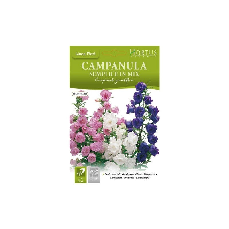 Campanula Semplice mix DB