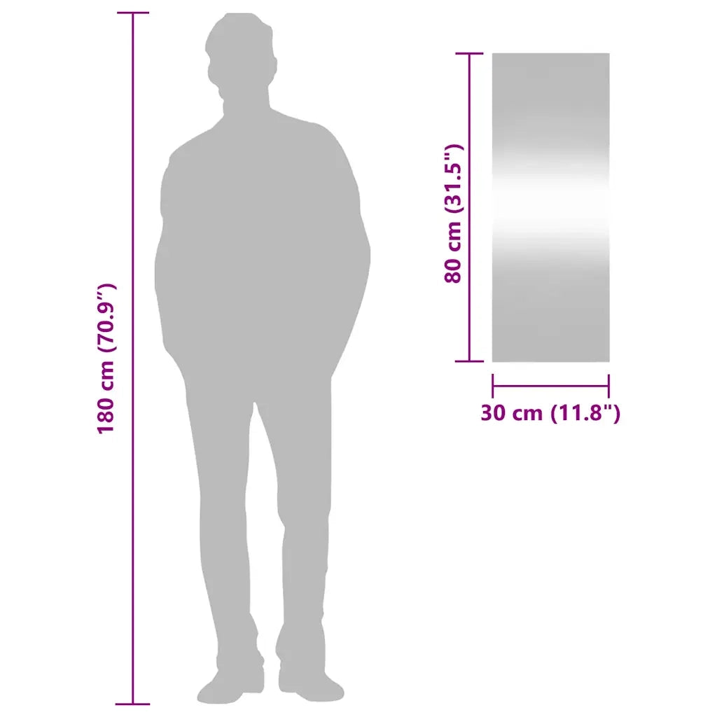 Specchio da Parete 30x80 cm Vetro Rettangolare 350444
