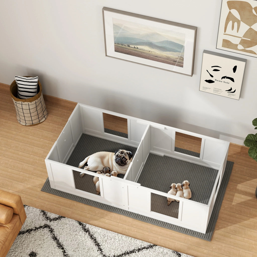 Box per cani ¨C Minimal ¨C 2 ambienti, pannelli trasparenti