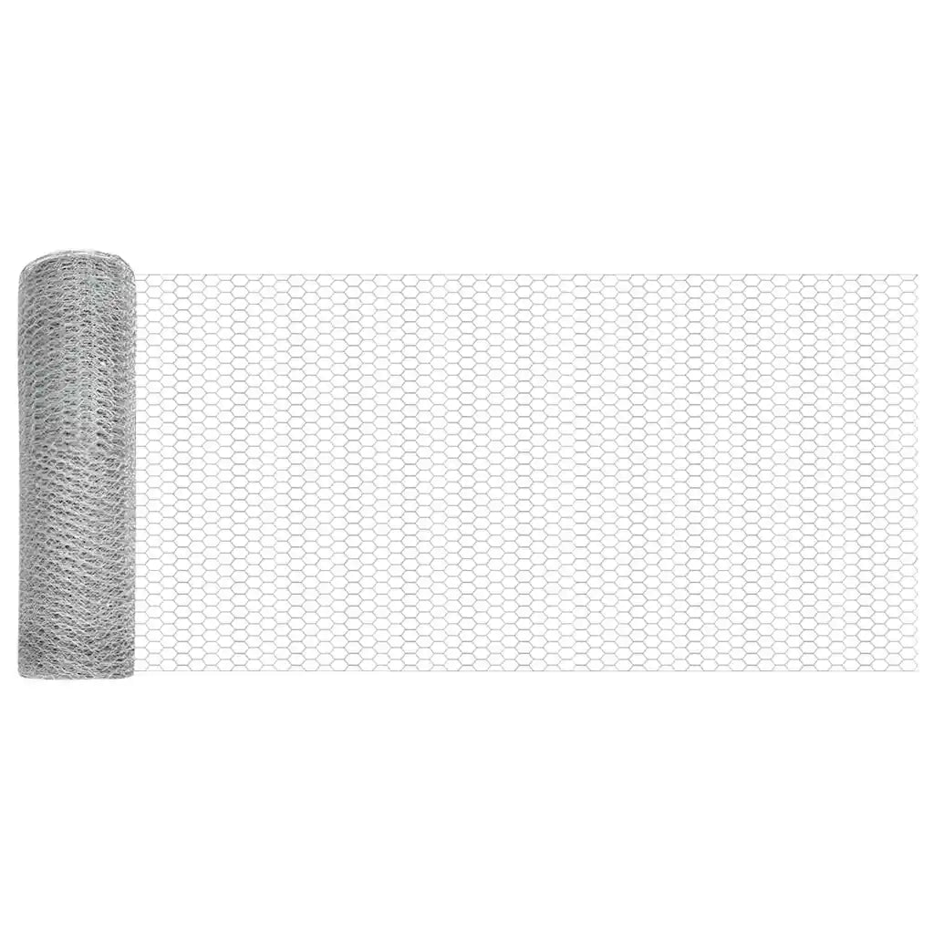 Palo della recinzione Argento 50 x 0,5 m (25 mm rete) Acciaio