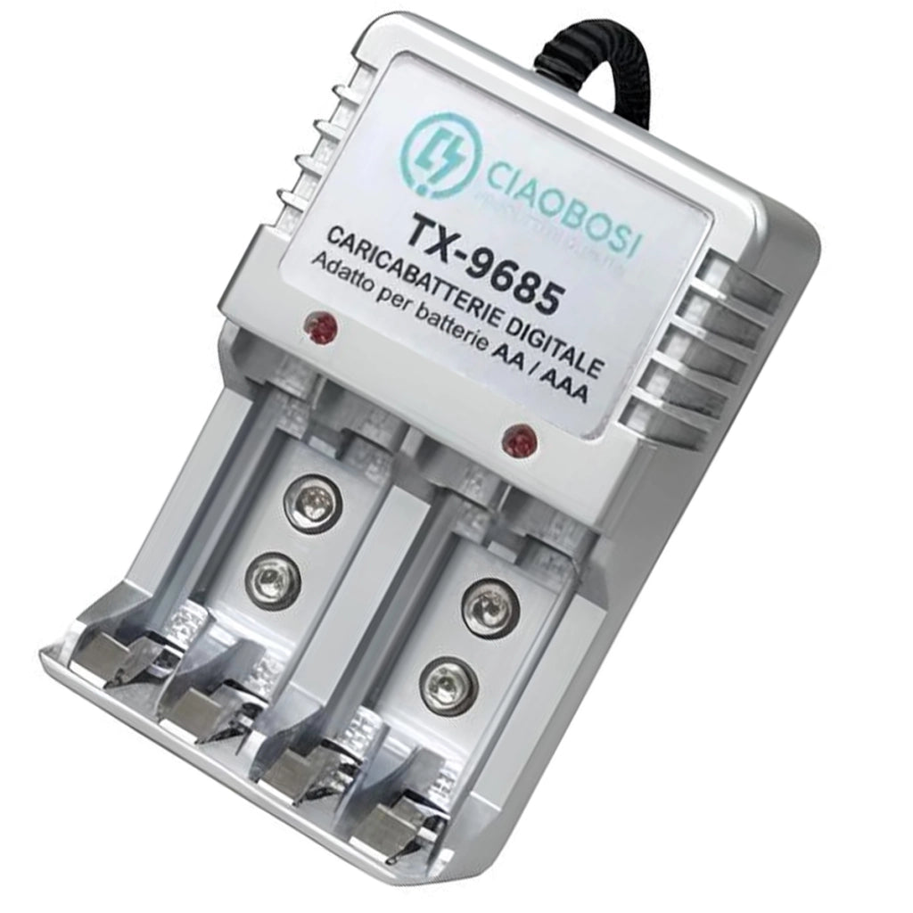 Caricabatterie digitale AA e AAA a 4 canali Presa 220V AC 150mA Grigio Avizar
