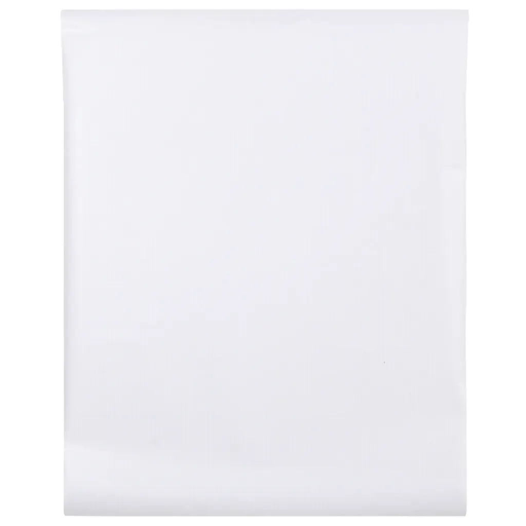 Pellicola per Finestra Smerigliata Bianca 45x1000 cm PVC 155741