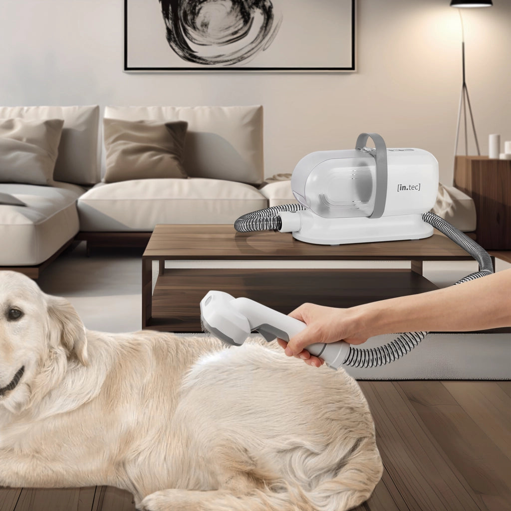 Kit Toelettatura Amesbury 5 in 1 per Animali Domestici - Bianco / Grigio in.tec
