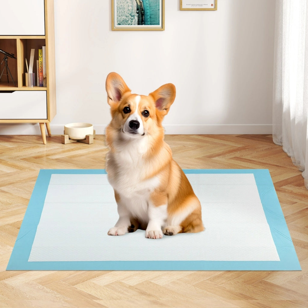 Tappetini per animali domestici a 6 strati a prova di perdite, Asciugatura rapida tappetini da interno ed esterno 90 x 60 cm Blu