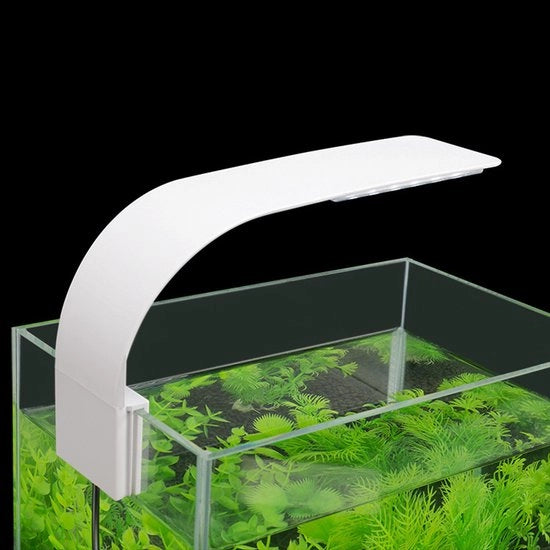 Illuminazione LED per acquario da 220mm.