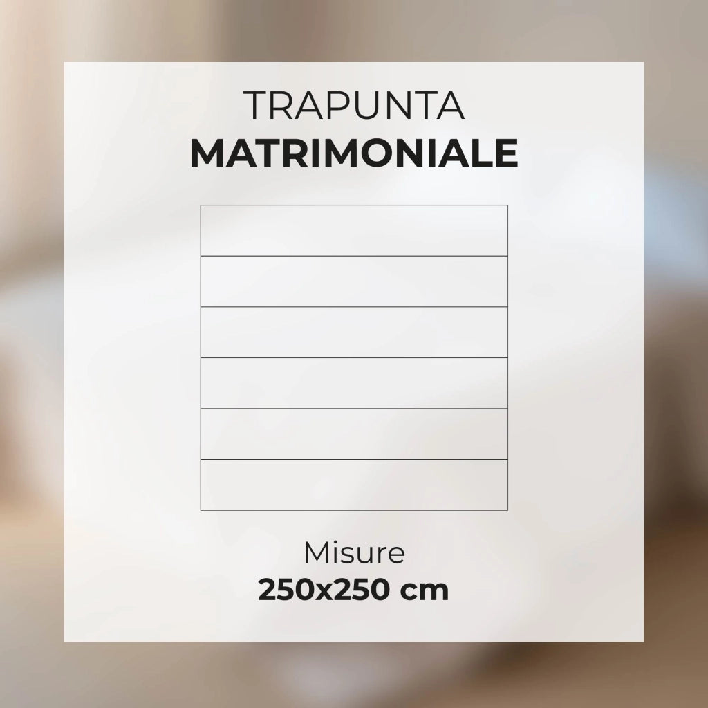 Trapunta Invernale Matrimoniale in Velluto con Stampa Digitale – Piumone Due Piazze Elegante e Morbido 500gr – Piumino Caldo Made in Italy per Inverno Foglieblu - Matrimoniale