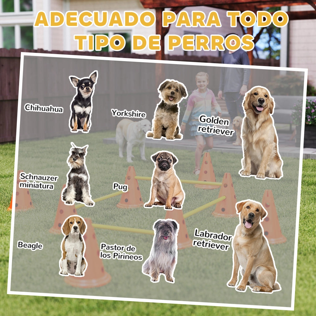 Set Agilit¨¤ Cani ¨C Minimal ¨C 8 Coni 8 Barriere