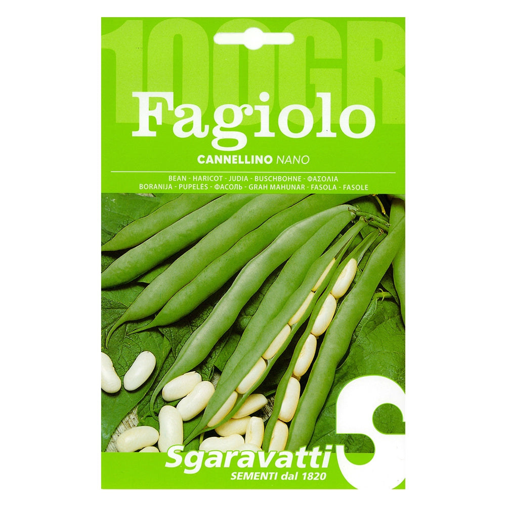 Semi per Fagioli Fagiolo Nano Cannellino Sgaravatti 250 Gr