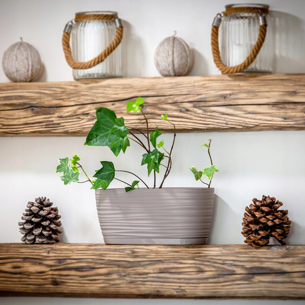 Vaso da fiori KADAX ovale da 27 cm in plastica beige
