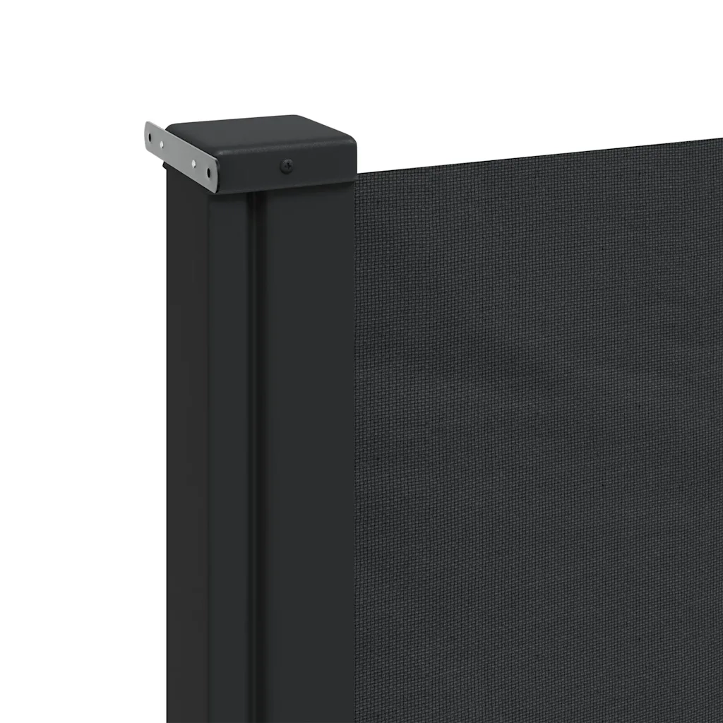 Tenda da Sole Laterale Retrattile Nera 200x300 cm 4004354