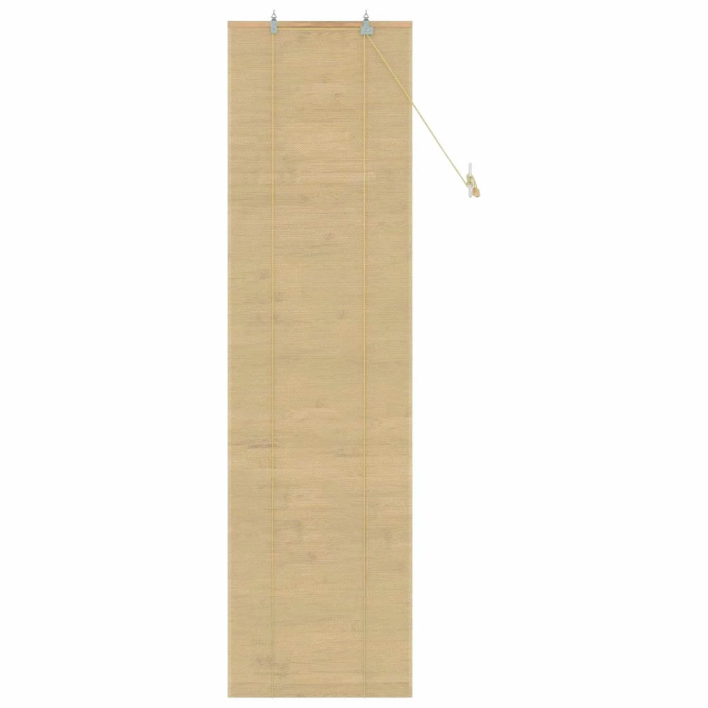 Tenda a rullo Naturale 50 x 220 cm Bambù 42040573