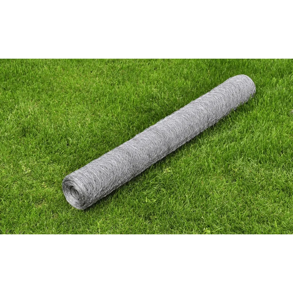 Recinzione da Giardino | Recinzione in Rete per Pollaio Acciaio Zincato 25x0,5 m Argento