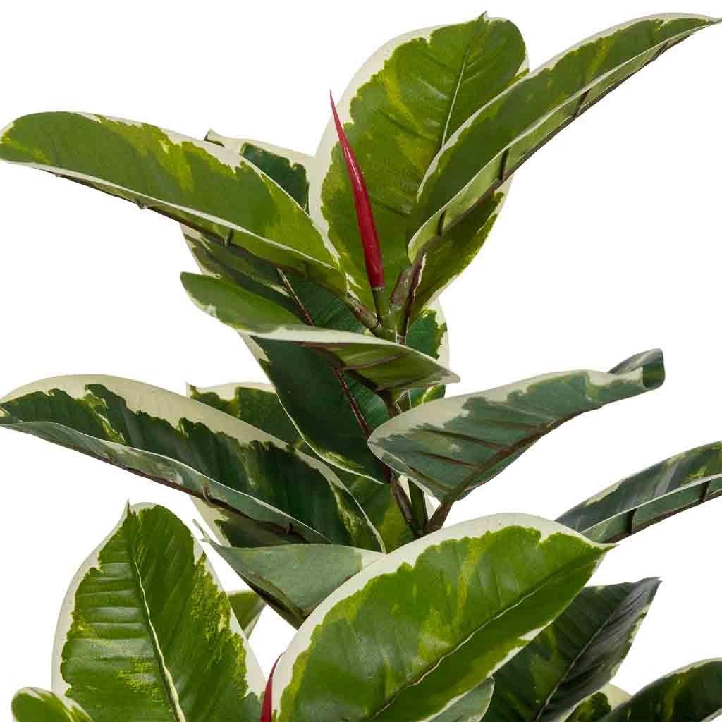 Pianta artificiale decorativa di quercia verde 60x60x128