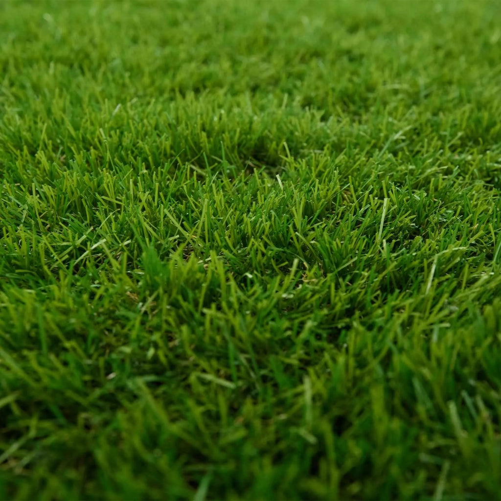 Erba artificiale Verde 1 x 8 m, 50 mm PP e PE 42033140