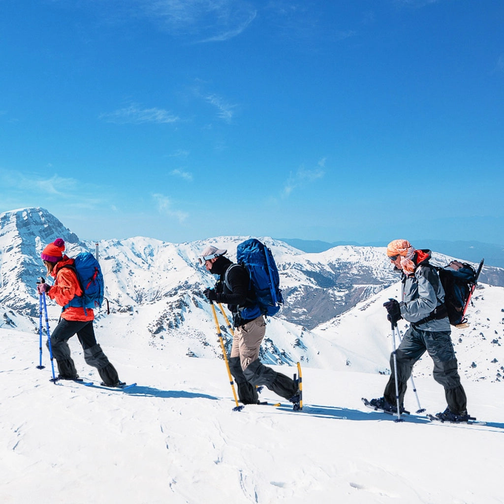 Bastoncini da trekking e borsa per trasporto per uomini telaio in alluminio, Set di racchette da neve con sistema 78 cm Blu navy