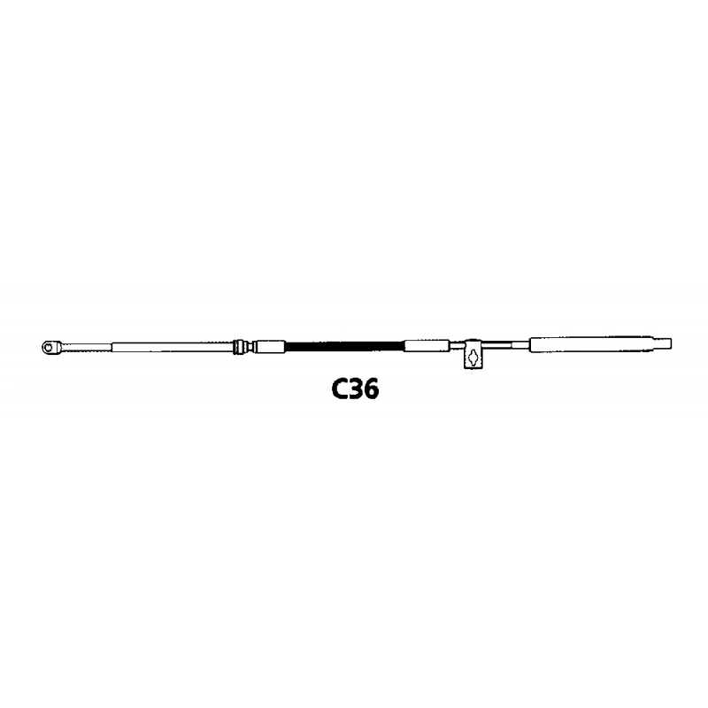 CAVO C36 DA 10' CABLE C36 FT 18'