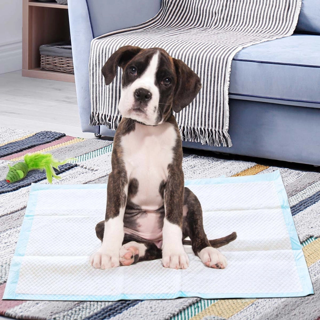 Traverse usa e getta con controllo odore, Traverse con asciugatura rapida per cani gatti conigli, 60 x 90 cm