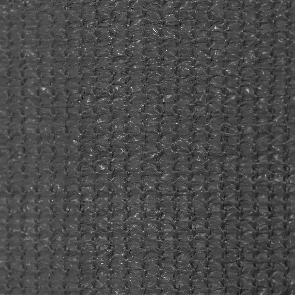Tenda a Rullo per Esterni 165(L)x230(A) cm Antracite 43496
