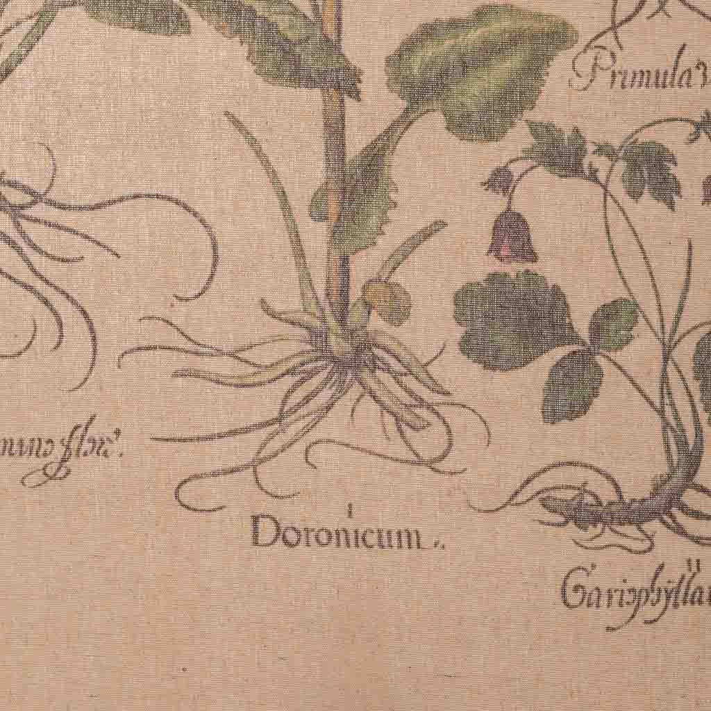 Tela di lino stampata in pergamena
