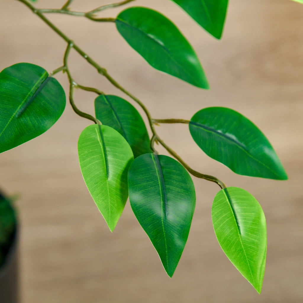 Pianta artificiale Ficus ¨C Xylo ¨C Verde, vaso cemento, 135 cm