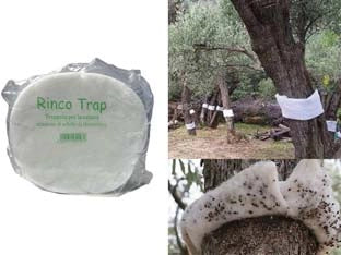 TRAPPOLA PER INSETTI RINCOTRAP- - cm.15h. x mt.20 circa lunghezza - 2 pezzi