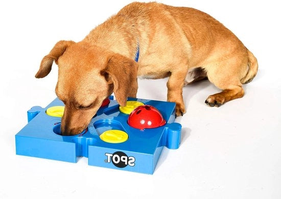 Dispensatore di Cibo per Cani a Scorrimento Flip 'N Slide di Seek-a-Treat 

Modello: 
Capacità: 
Dimensioni: 
Materiali: 
Colore: 
Età consigliata: 
Peso: 
Garanzia: