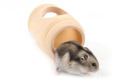 Tunnel per Hamster in Legno Naturale - Rifugio per Hamster Syrio - Protezione per Topi/Ratti - Casa per Roditori Duratura - Facile da Pulire - Apertura Ampia - Tunnel per Roditori