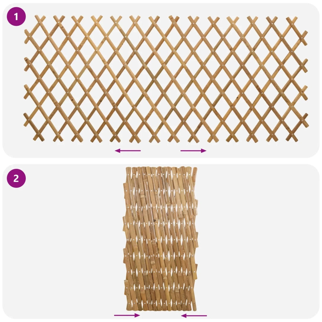 Recinto Trellis Espandibile 2 pcs Marrone Chiaro 100 x 105 cm 42028067