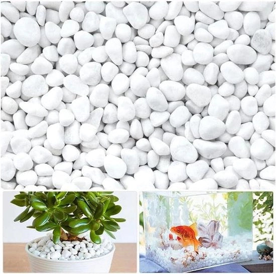 Pietruzze di Gabbro Bianche Piccole per Decorazioni Acquario Giardino Vasi e Piante 500g