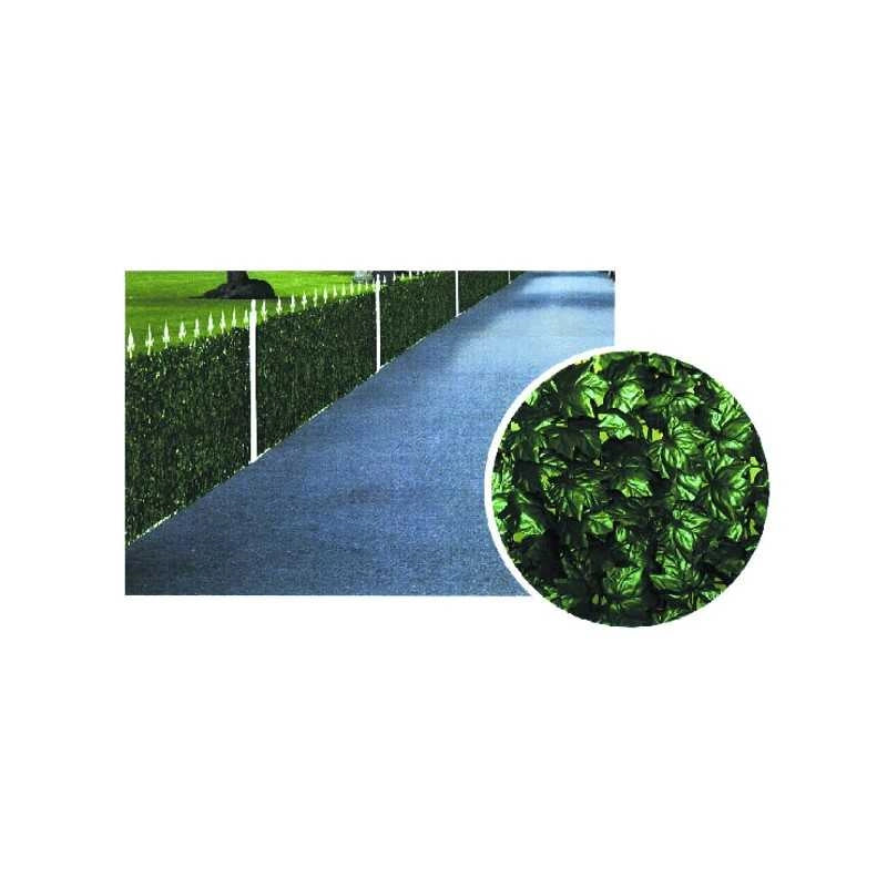 Siepe Edera h 100 m 3 Ilcampo 03473