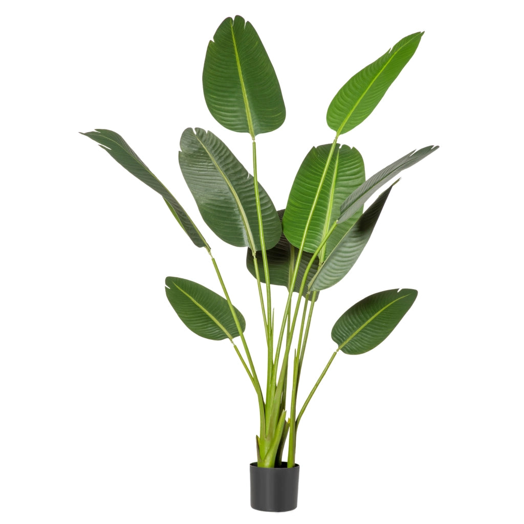 Pianta Artificiale Bananera ¨C Minimal ¨C Verde 160 cm con Vaso