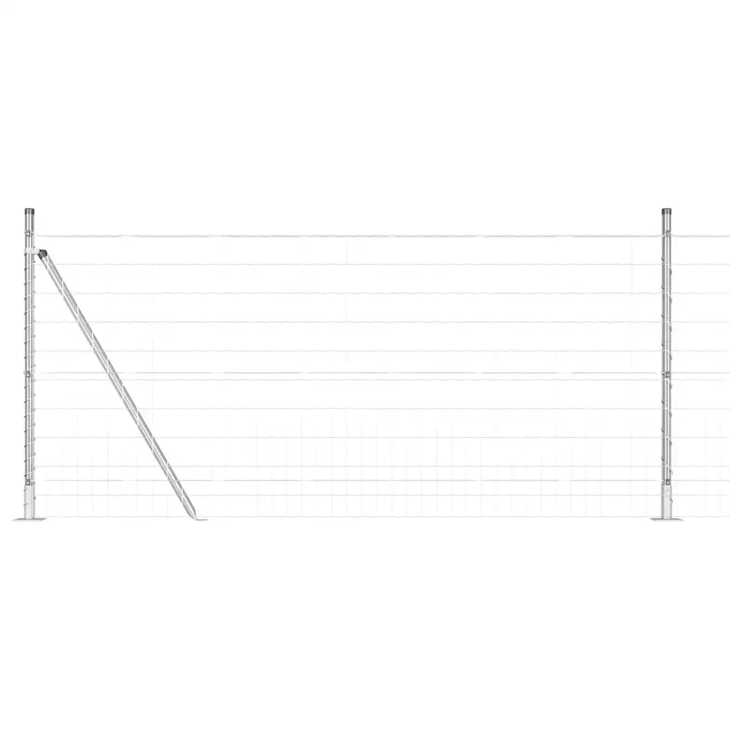 Recinzione con Posto Argento 1 x 25 m Acciaio 3351031