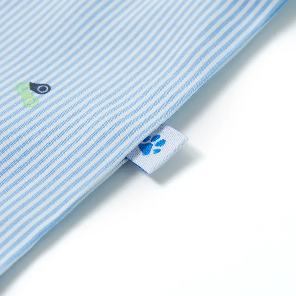 Camicia da Bambino Azzurra 116