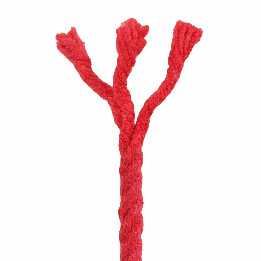 Corda di Cotone 6 mm 500 m Rosso 100% Cotone 42011901