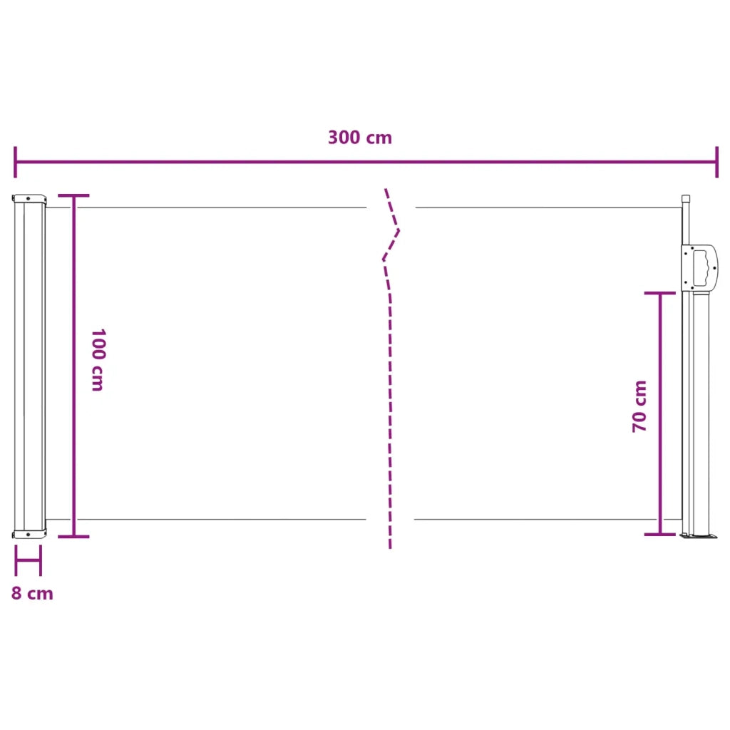 Tenda da Sole | Tenda laterale retrattile Nero 300 x 100 cm Poliestere