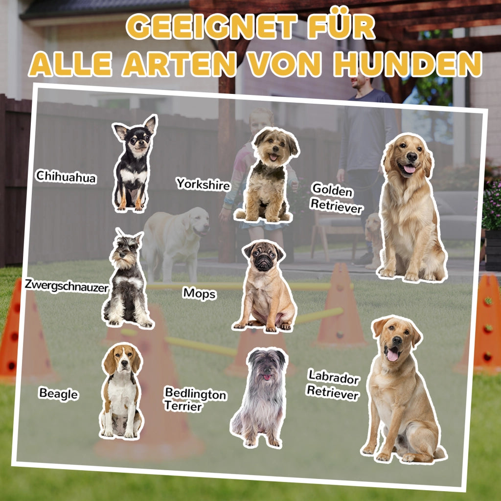 Set Agility per Cani 3 Pezzi ¨C Xylo ¨C con 6 Coni 3 Ostacoli e Borsa