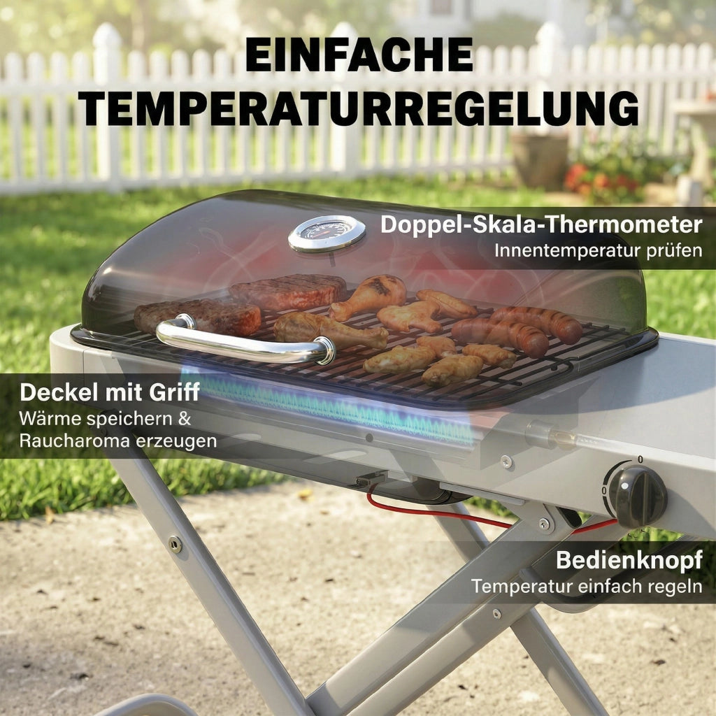 Grill a Gas Portatile 1 Fuoco 2,5kW ¨C zephmum ¨C Grigio