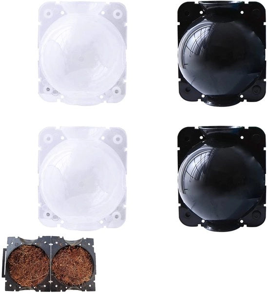 Pannelli di propagazione per piante 4 pezzi - Tavolo per germogli - Box di crescita - Controllo radici - Nero/Translucido - Materiale di alta qualità