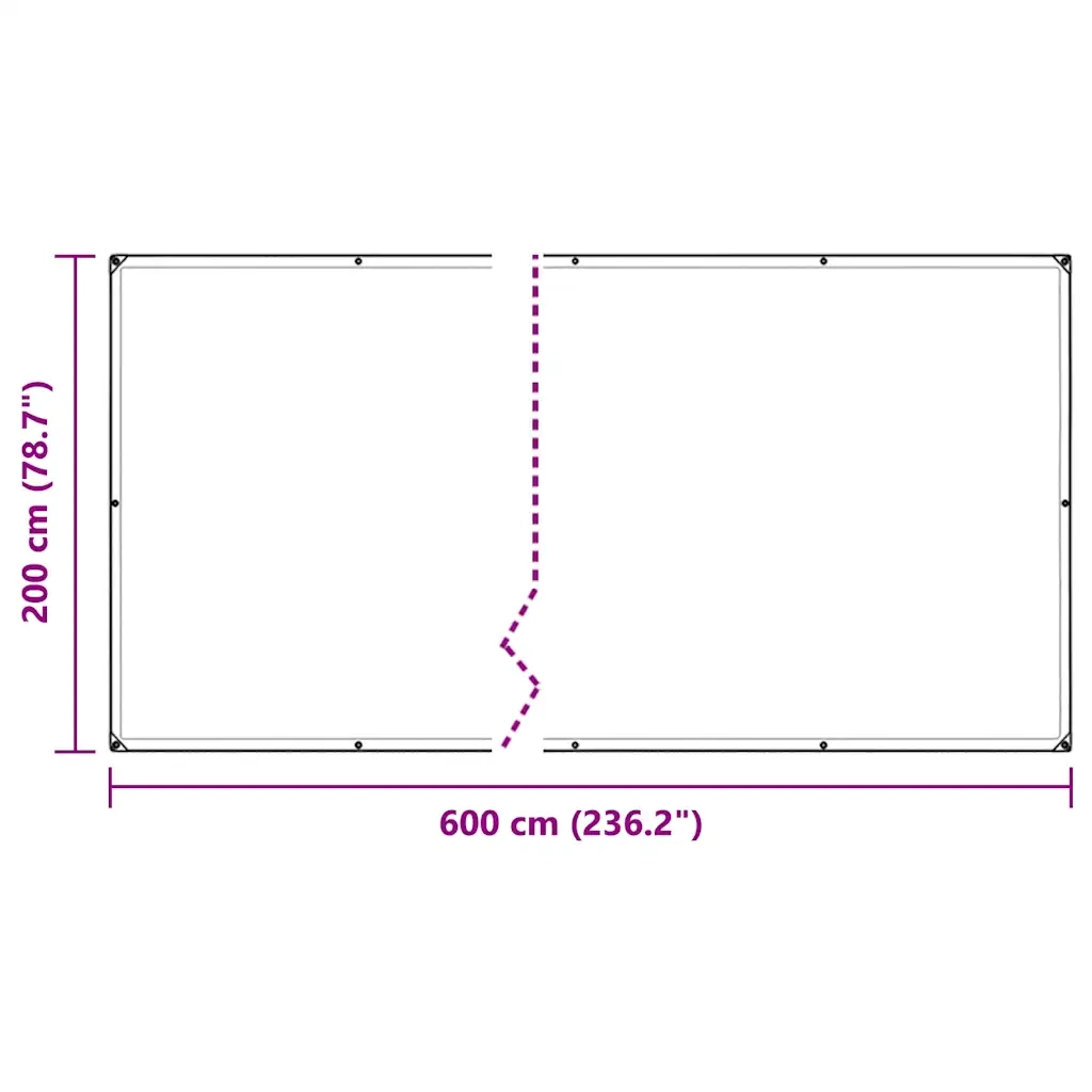 Telone Trasparente con Occhielli 2x6 m in Polietilene