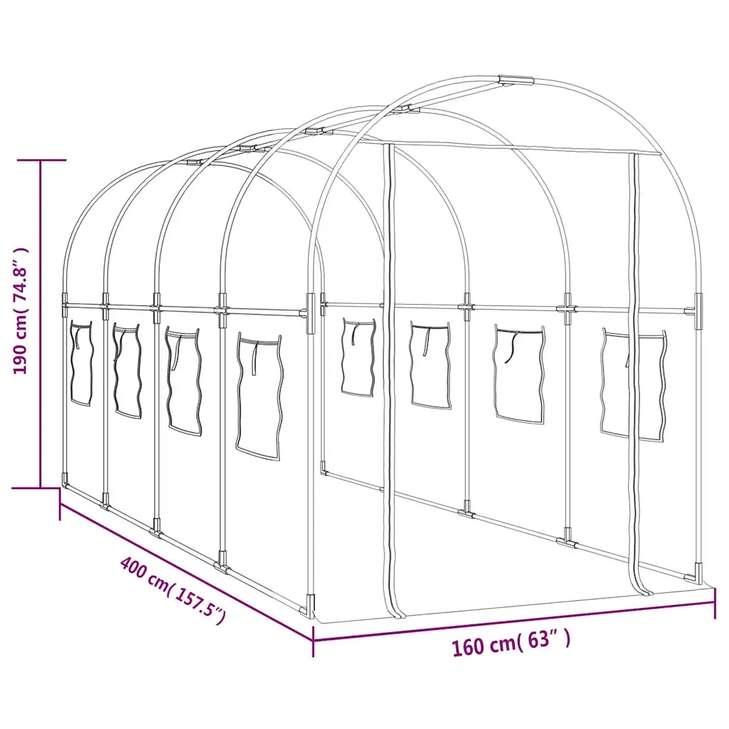 Serra Trasparente 160x400x190 cm PVC Acciaio Verniciato Polvere 317247