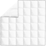 Piumone | Duvet Invernale Piuma Anatra 200x200 cm